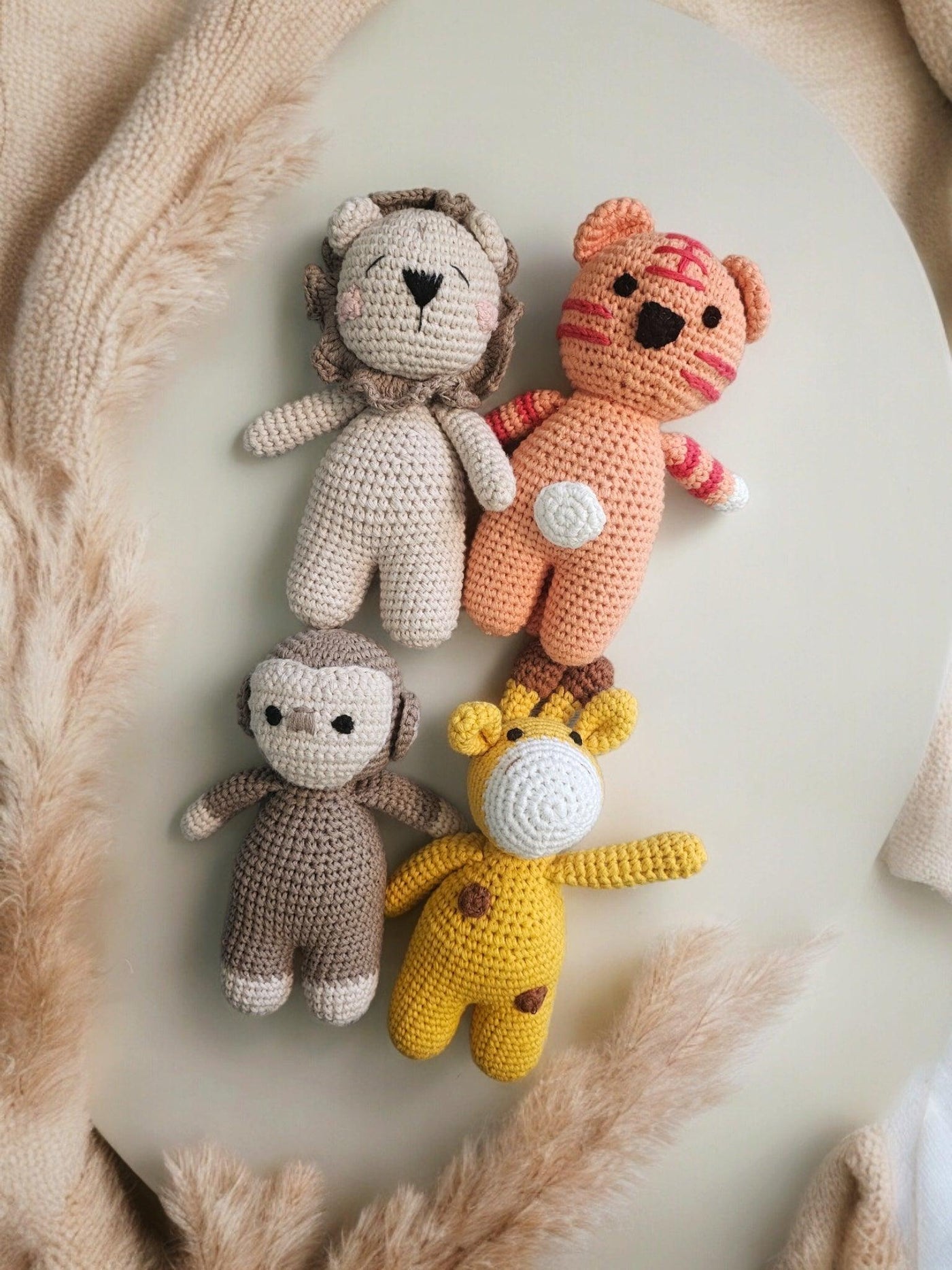 My Jungle Friends