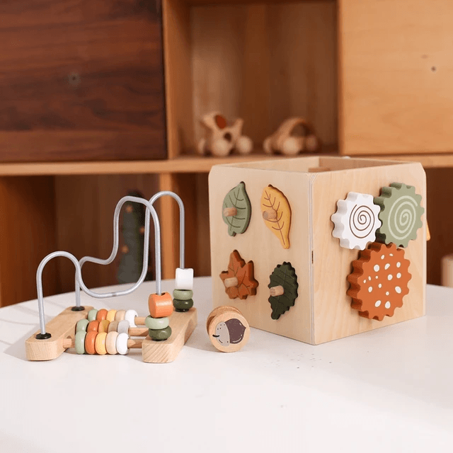 Montessori Activity Cube