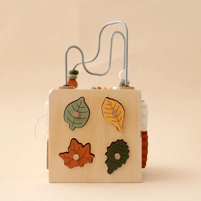 Montessori Activity Cube