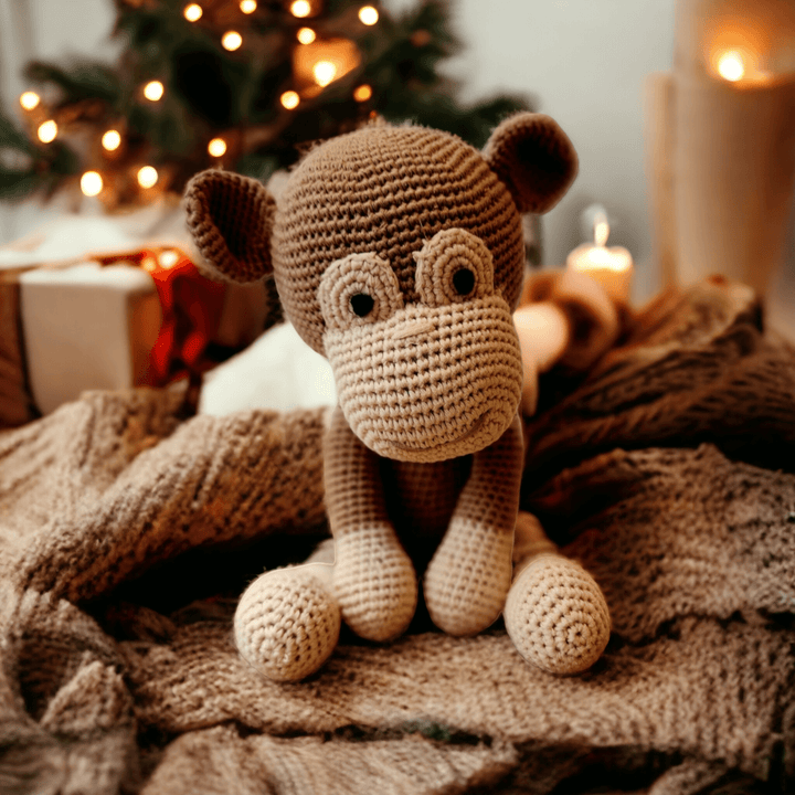 Koko The Monkey