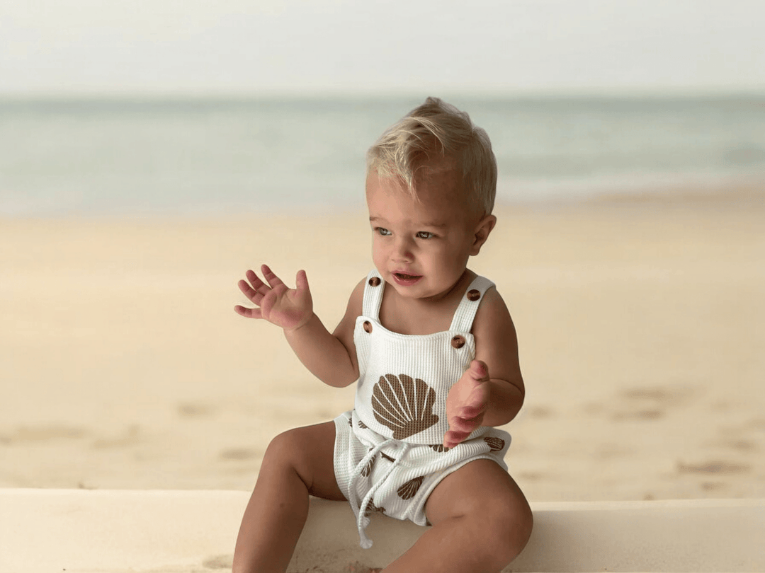 Shell Set