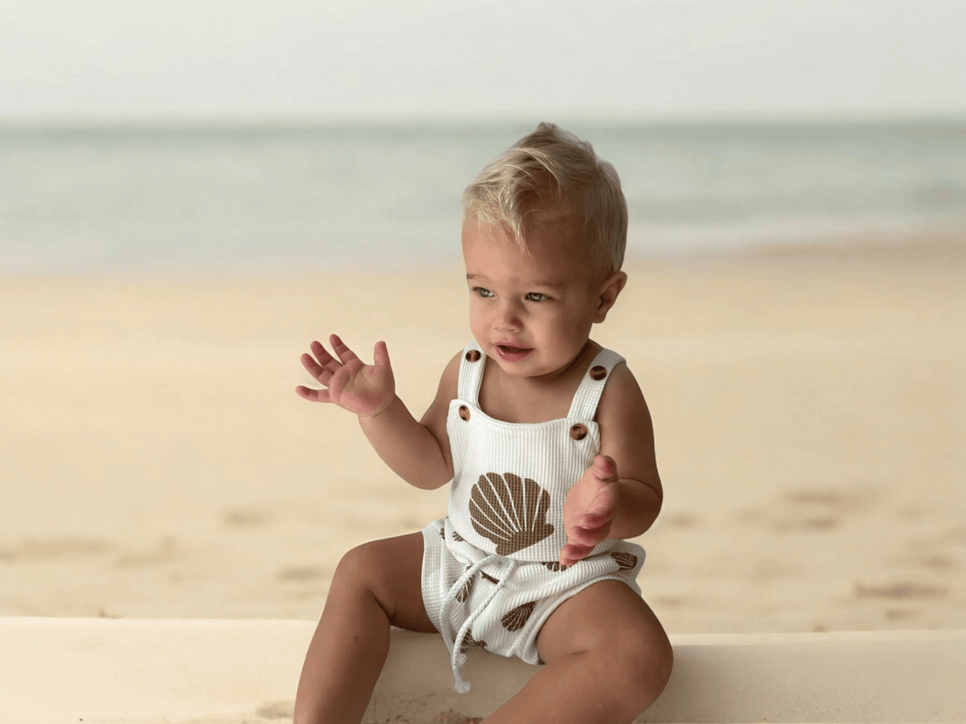 Shell Set