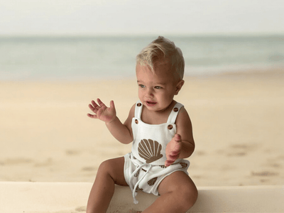 Shell Set