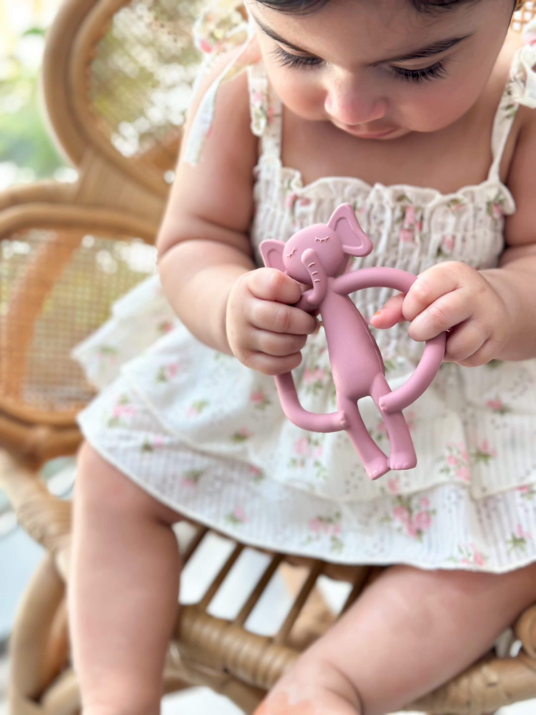 Ellie Teethers | Image 2