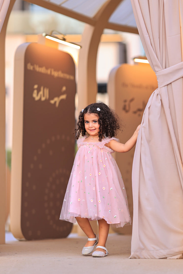 Embroided Tulle Dress