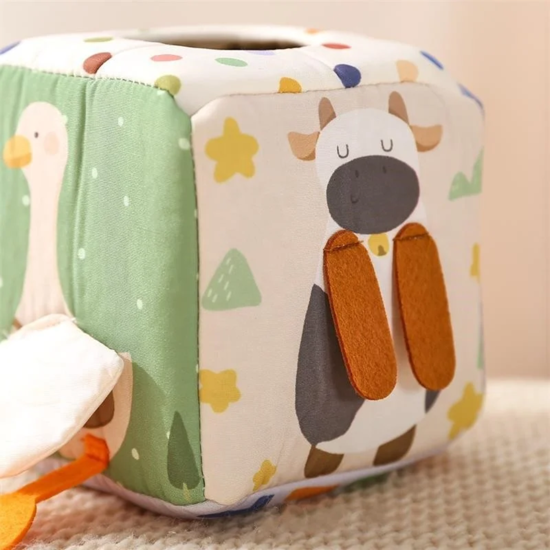 Peek-a-Boo Sensory Tissue Box