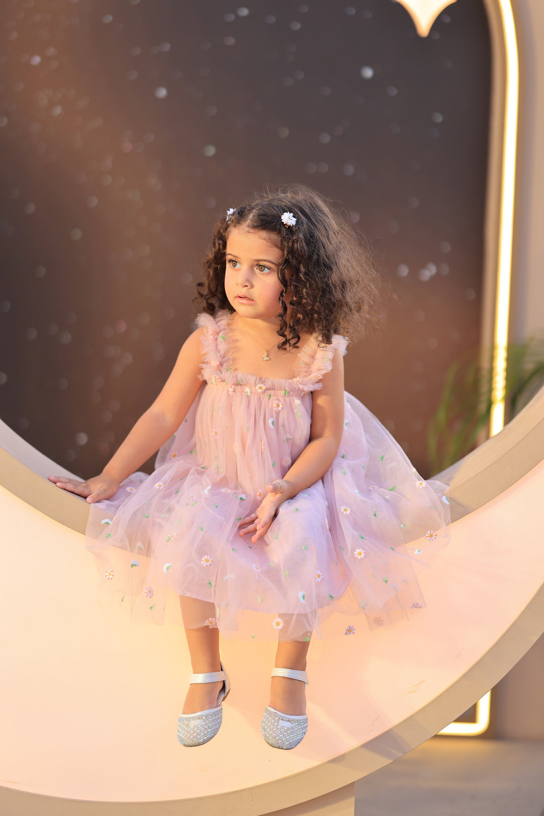 Embroided Tulle Dress