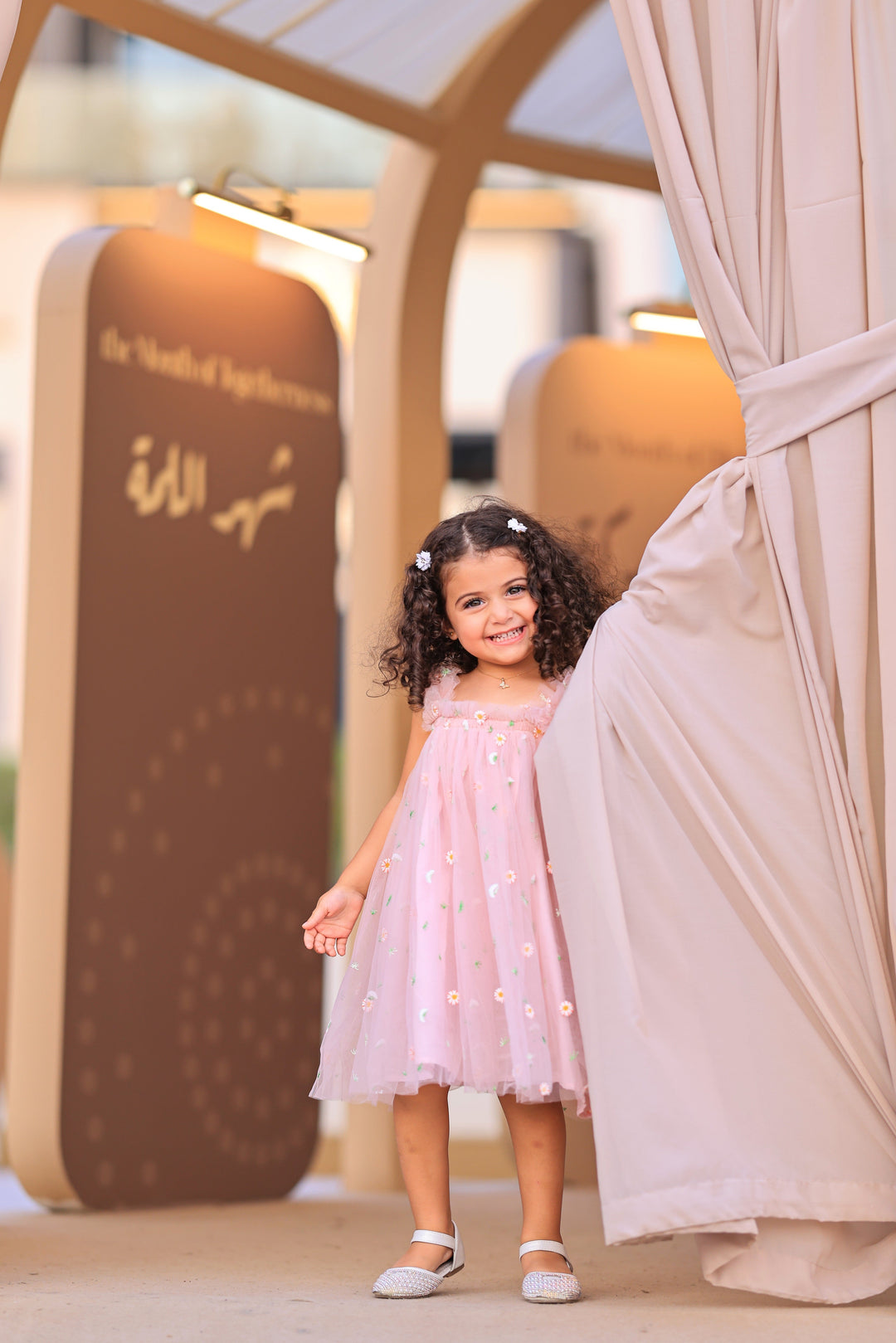 Embroided Tulle Dress