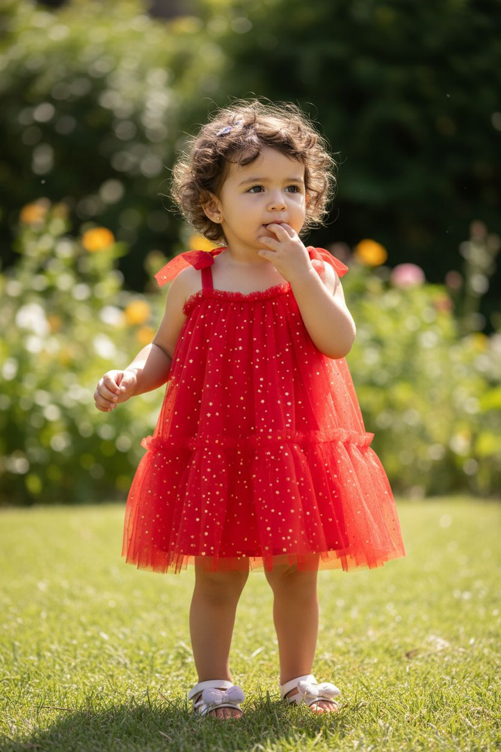 Holly Star Tulle