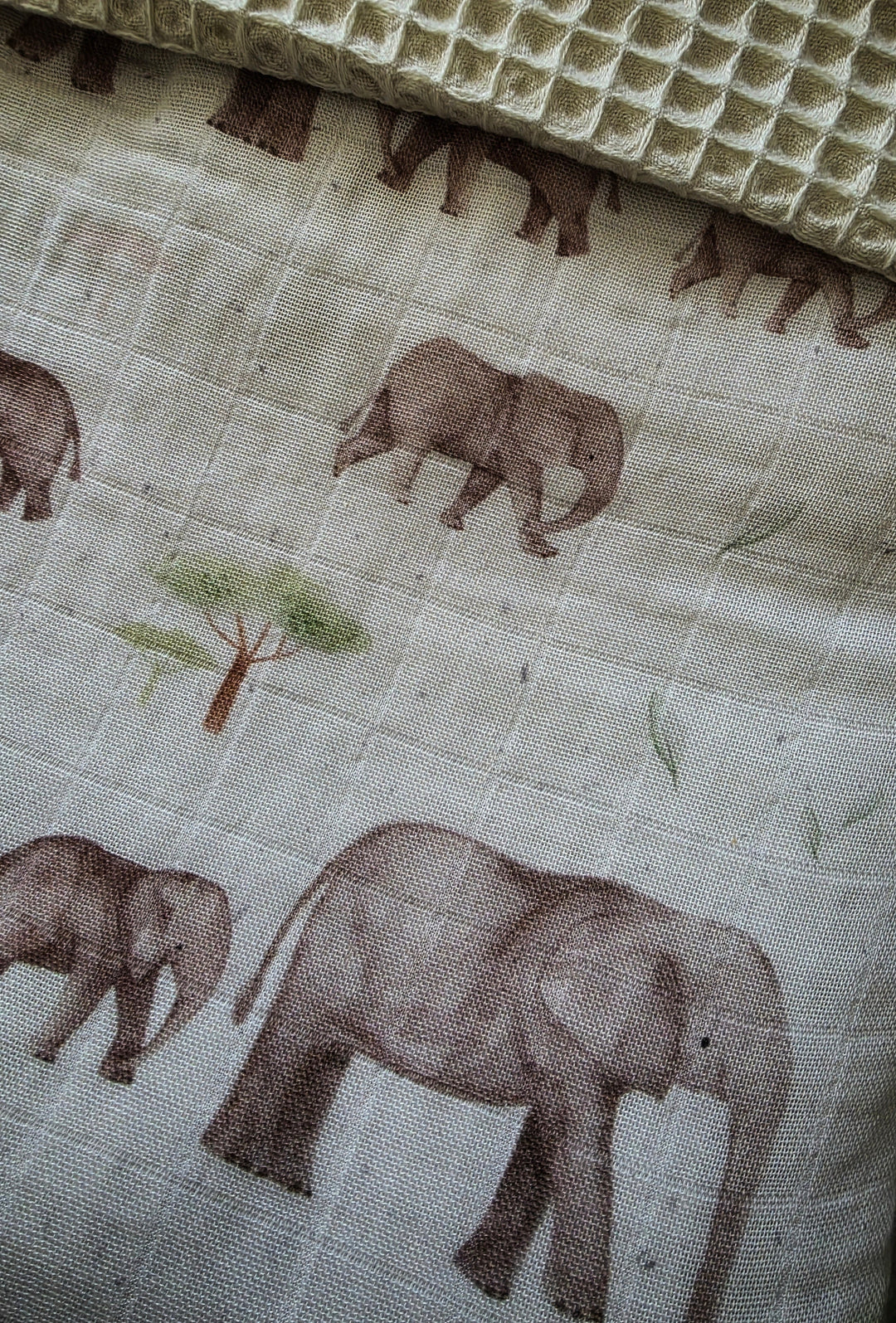 Elephant Blanket