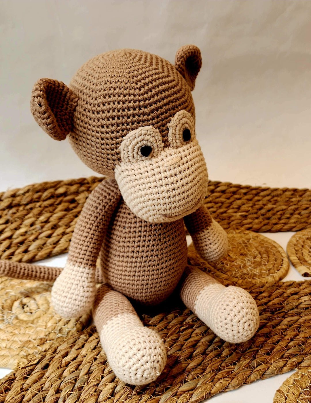 Koko The Monkey | Image 5