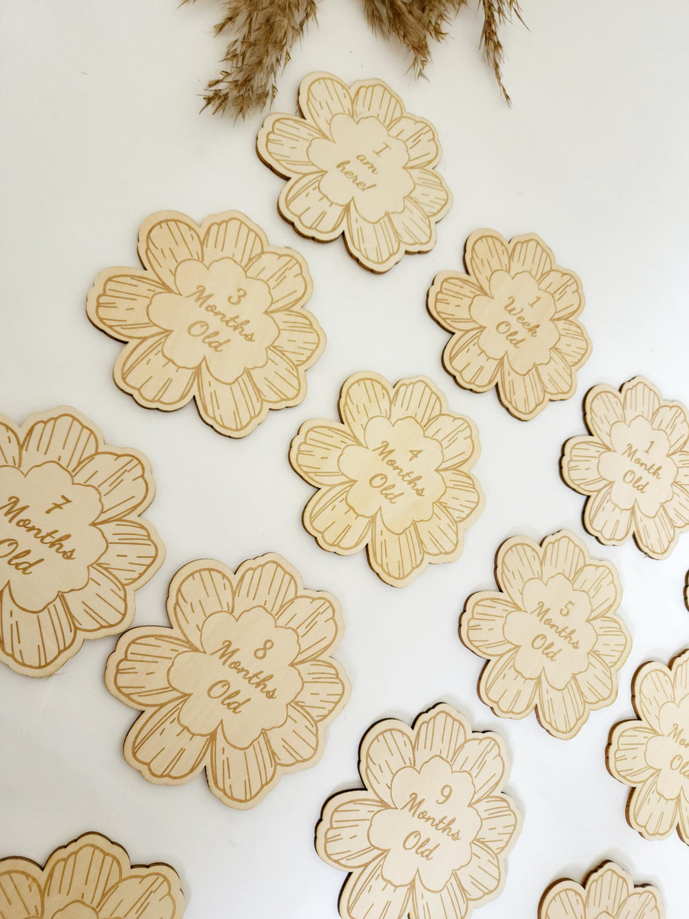 Flower Milestone Discs | Image 1