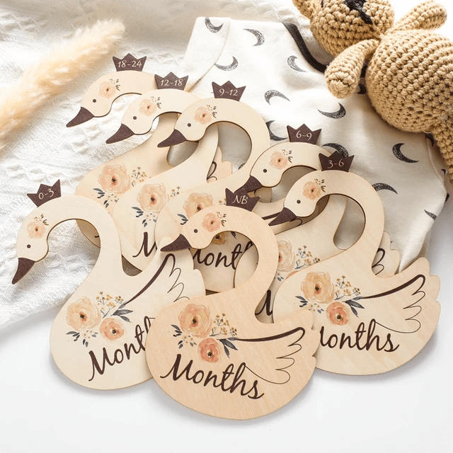 Swan Closet Dividers | Image 1