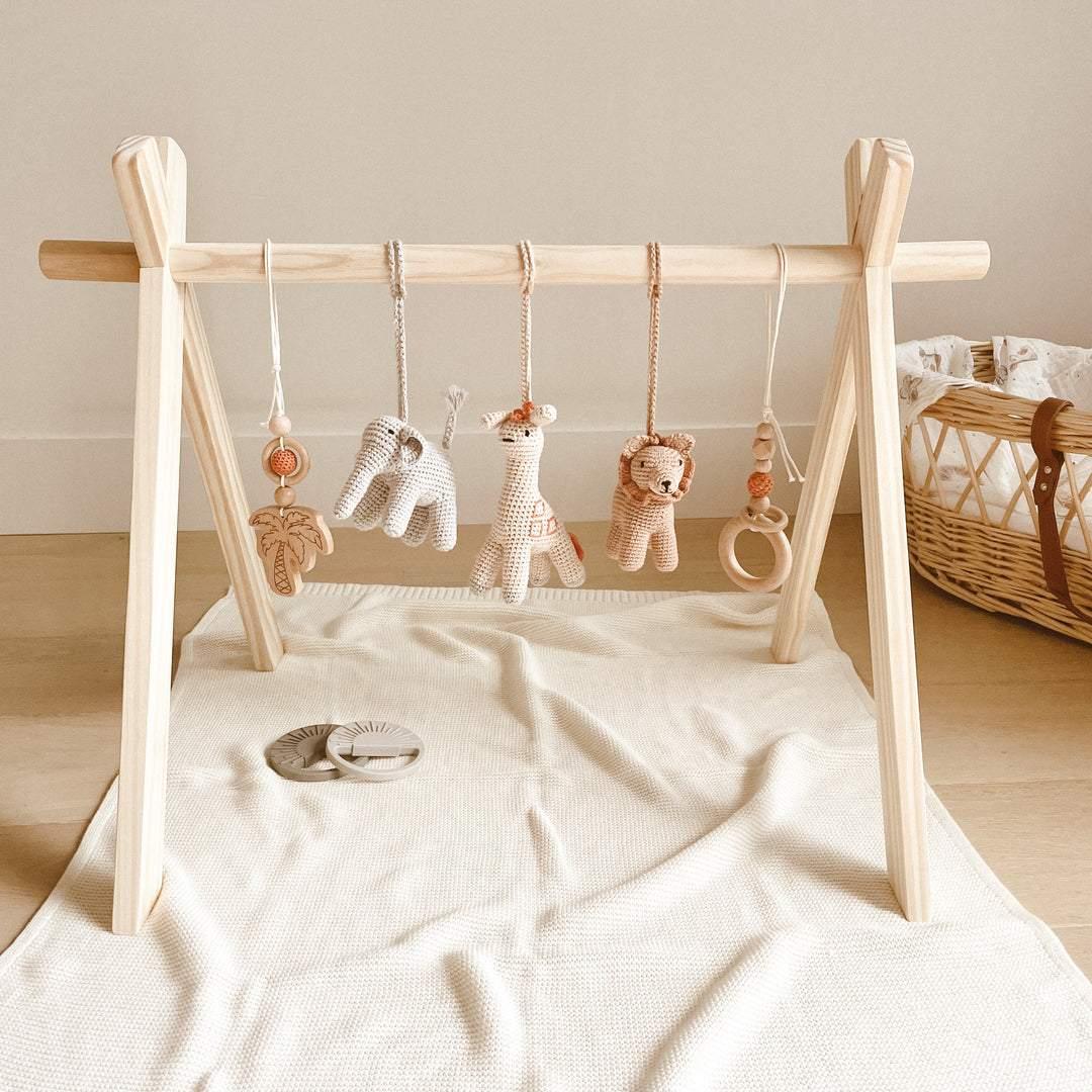 Safari Playgym | Image 2