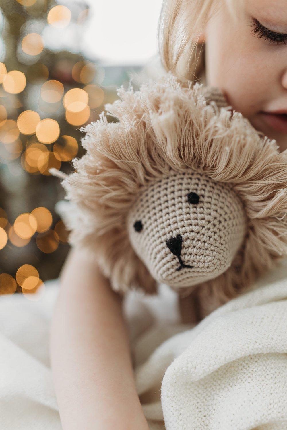 Zuba the Lion Teddy | Image 4